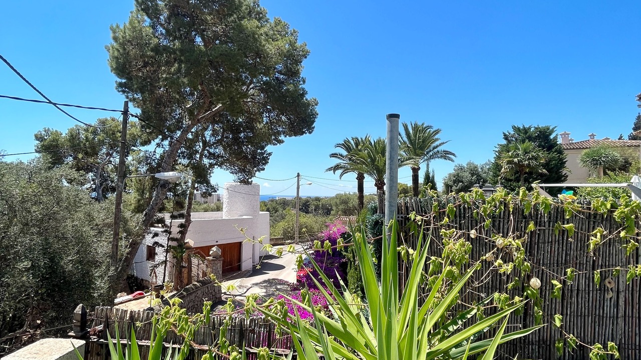 Photo of Outdoor in Palma de Mallorca