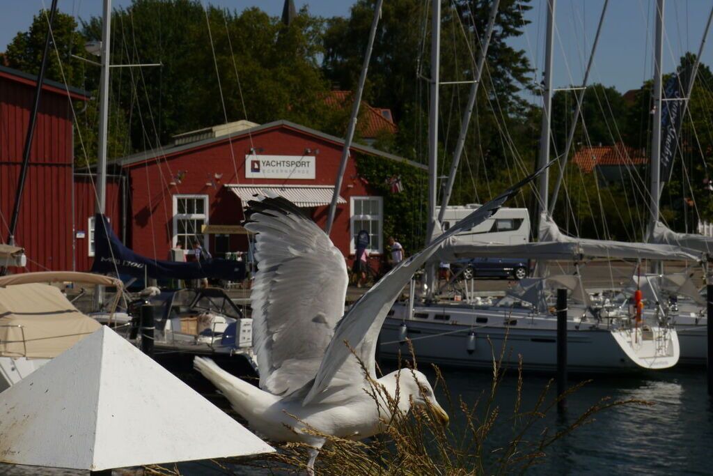 Photo of Others in Eckernfoerde
