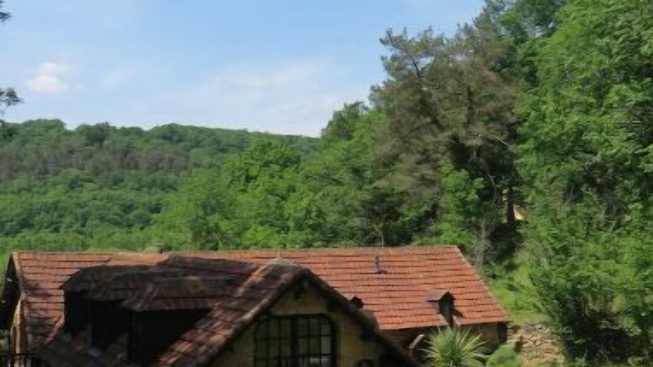 Photo of Outdoor in Auriac-du-Perigord