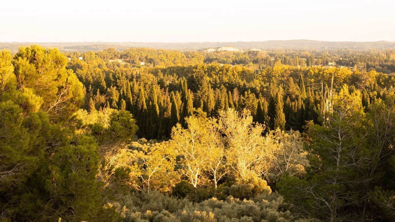 Photo of Outdoor in Paradou