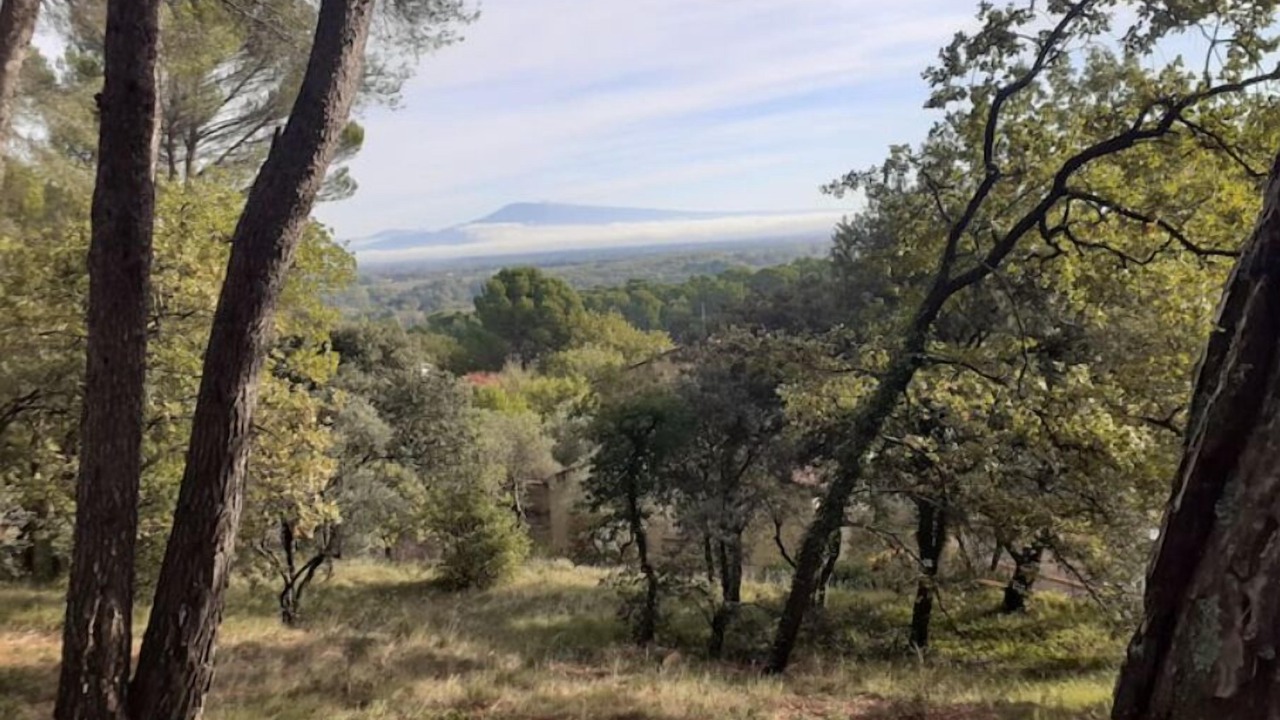 Photo of Others in Sorgues