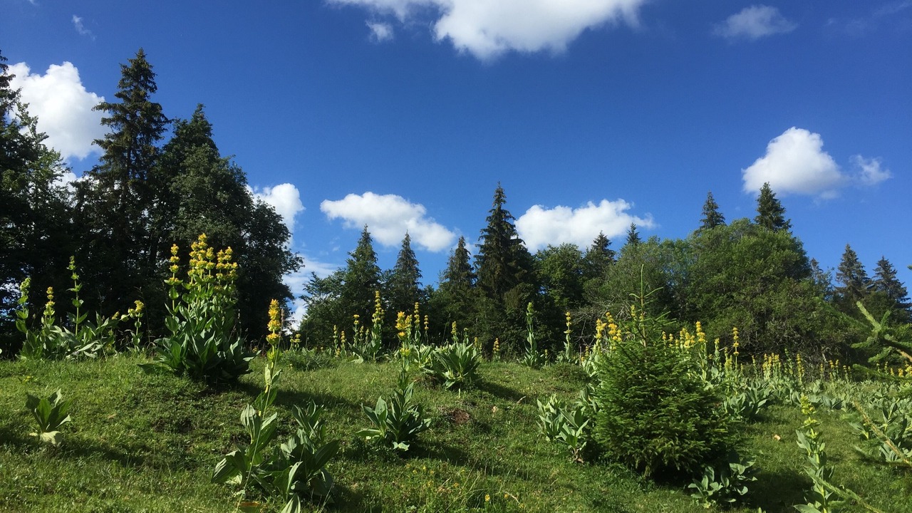 Photo of Outdoor in Lamoura