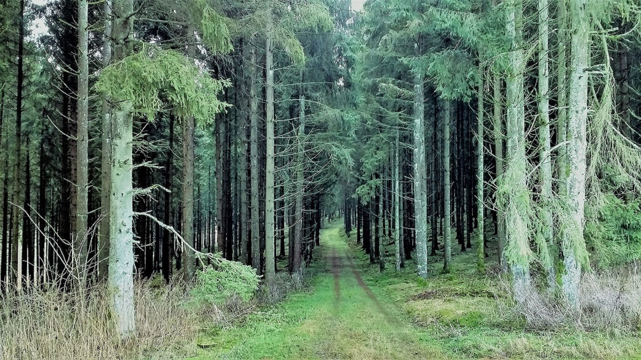 Photo of Others in Niederlandenbeck