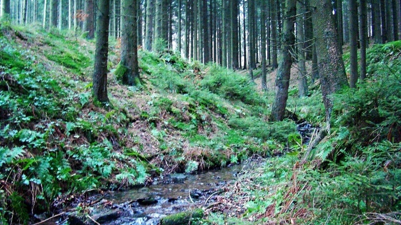 Photo of Others in Niederlandenbeck