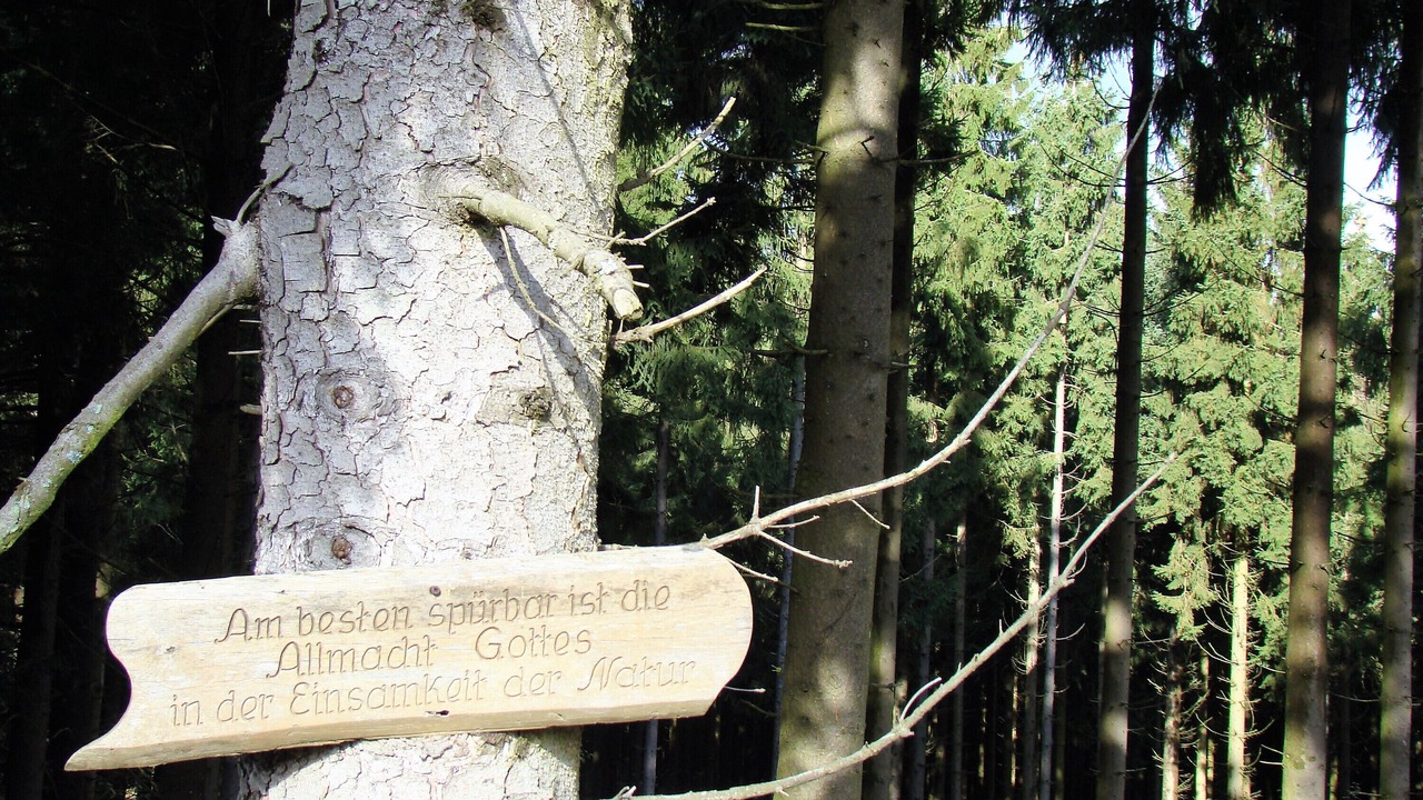 Photo of Others in Niederlandenbeck