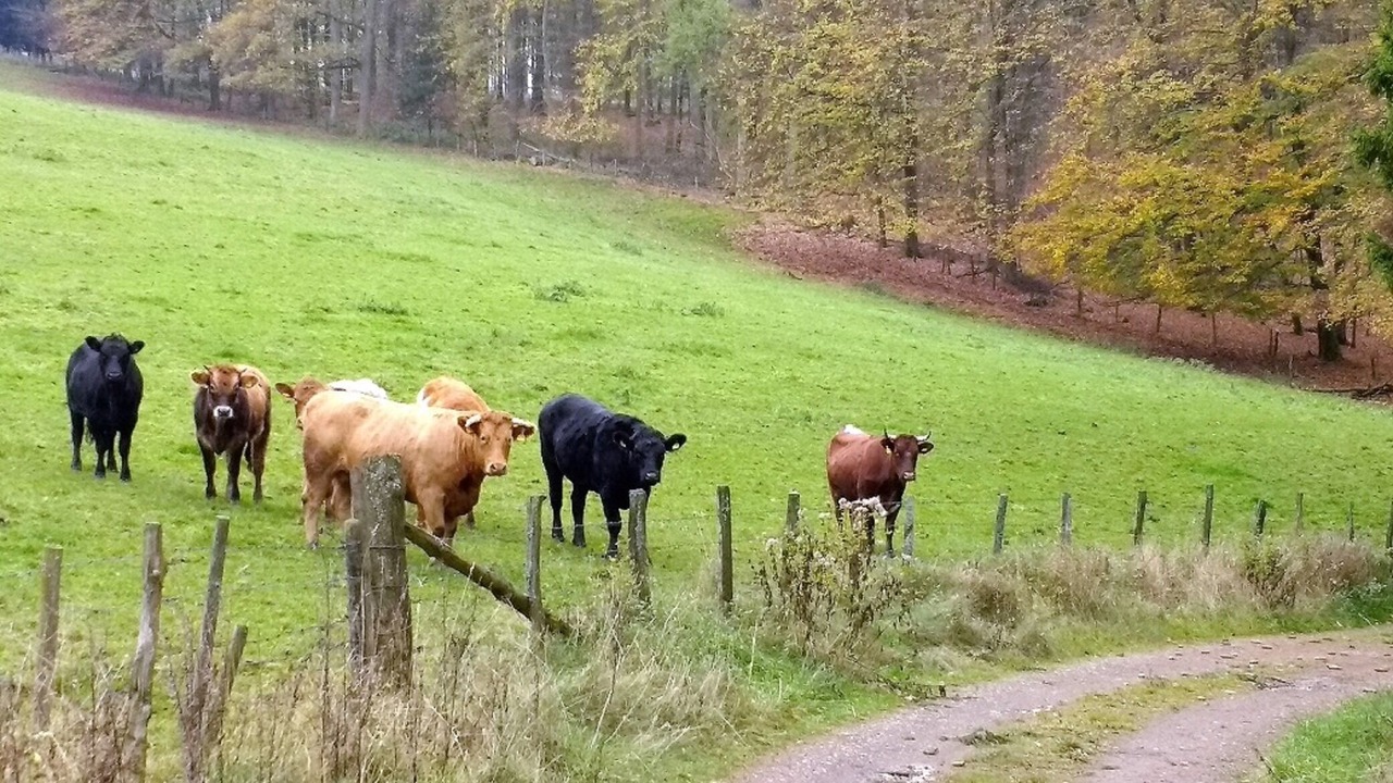 Photo of Others in Niederlandenbeck