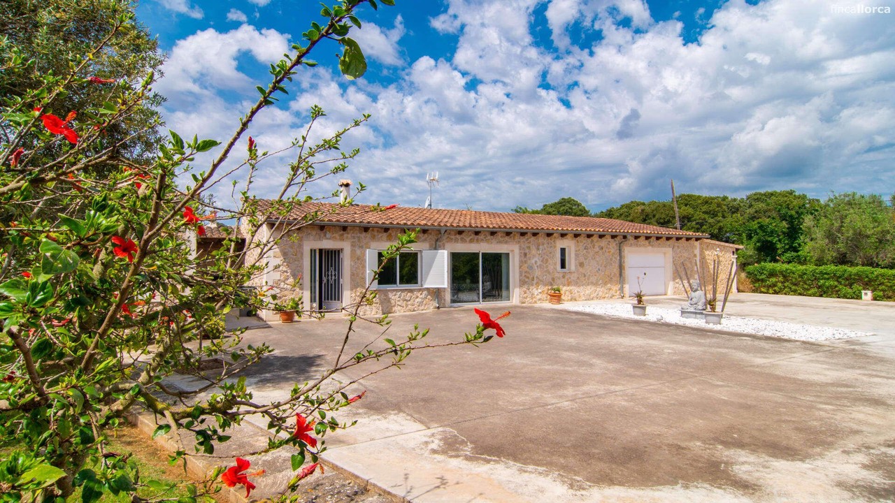 Photo of Outdoor in Lloseta