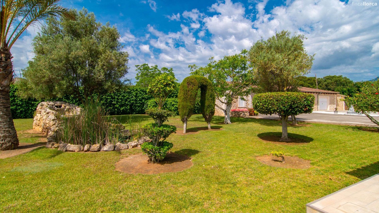 Photo of Outdoor in Lloseta