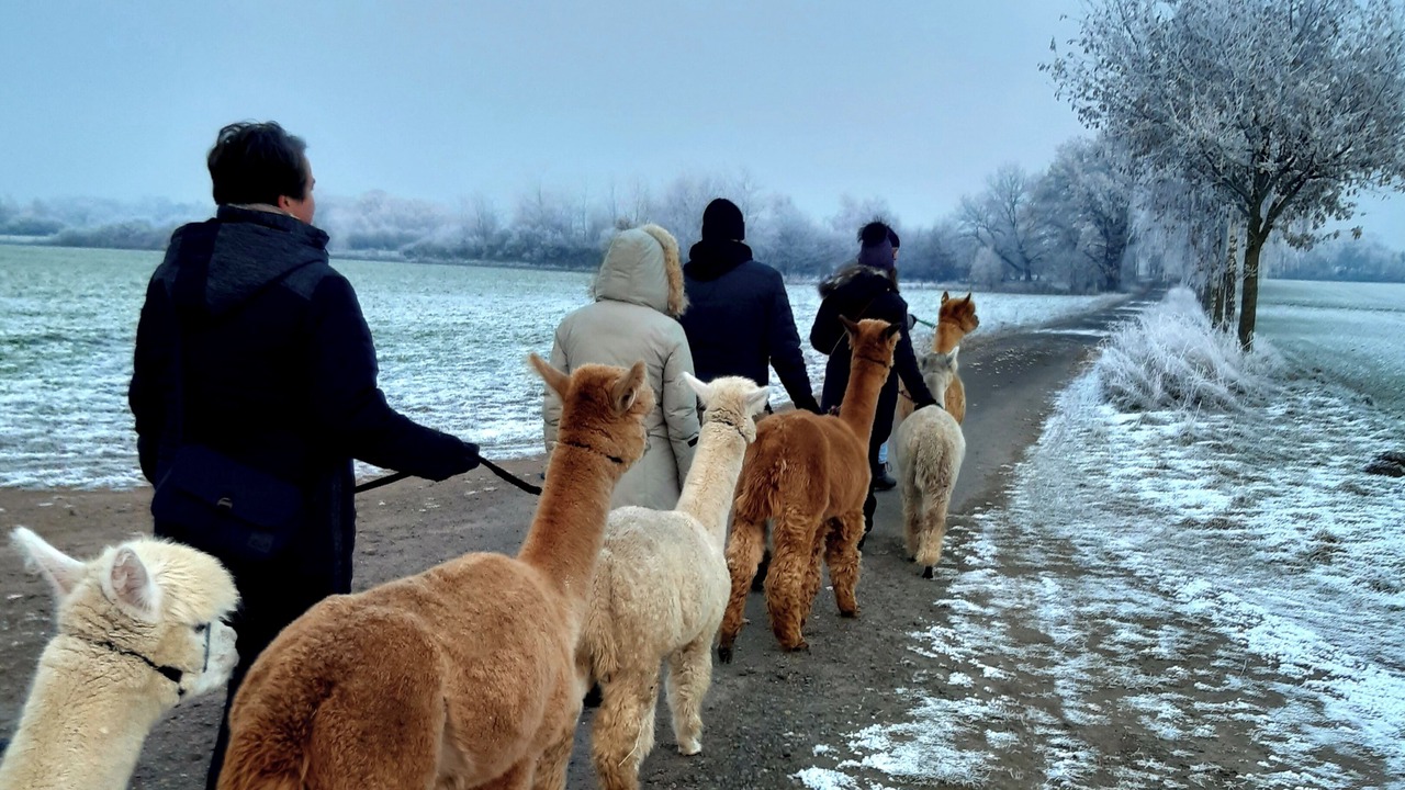 Photo of Outdoor in Affinghausen
