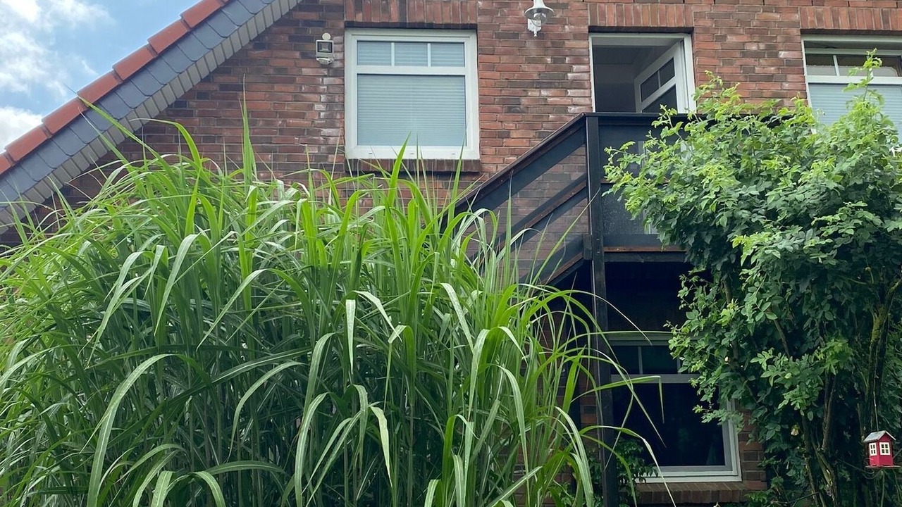 Photo of Outdoor in Langballig