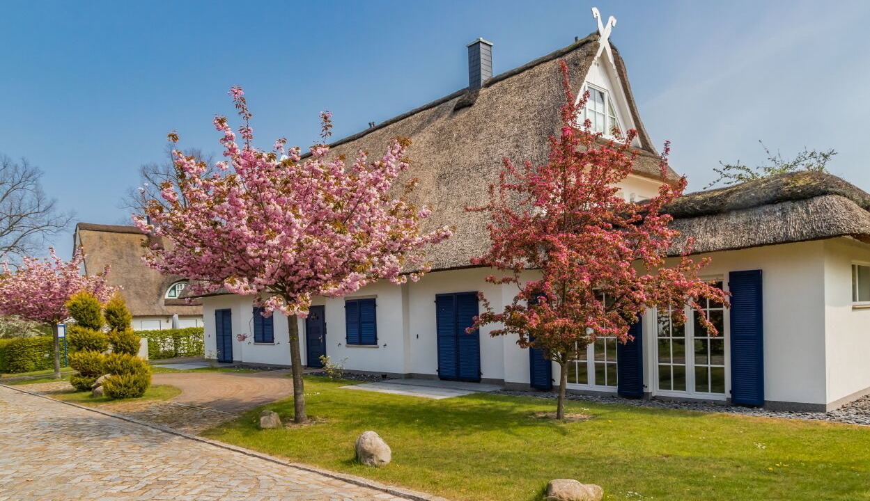 Photo of Outdoor in Gross Schwansee