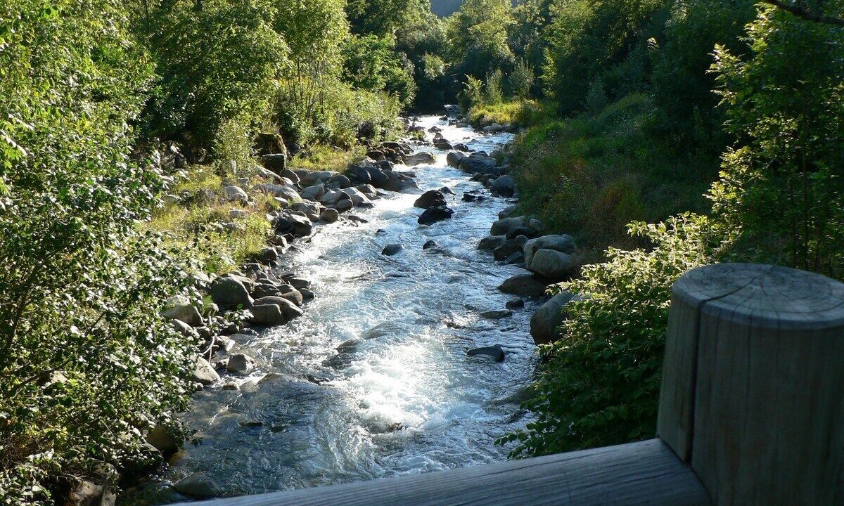Photo of Others in Sers