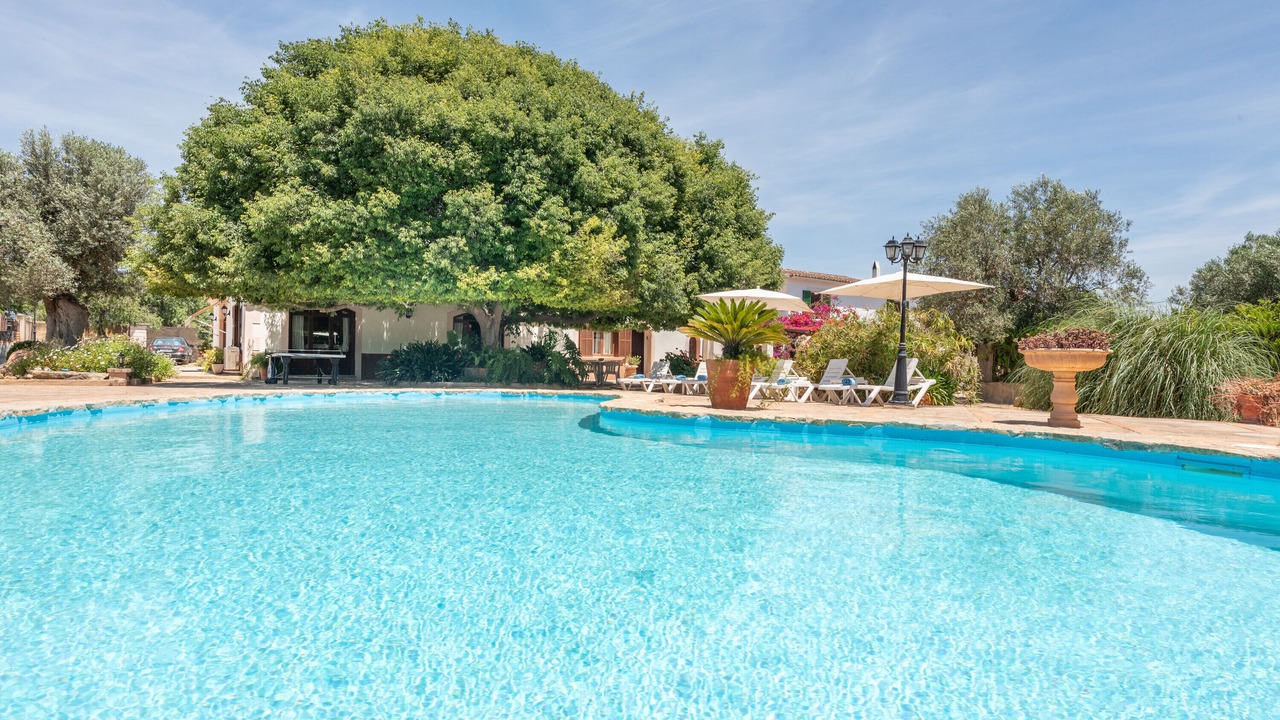 Photo of Outdoor in Son Sardina
