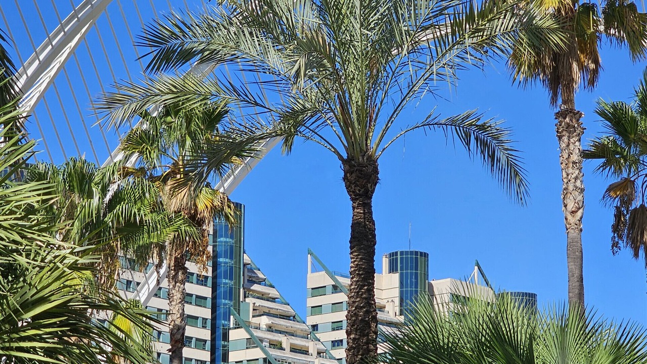 Photo of Outdoor in Ciutat de les Arts i les Ciencies