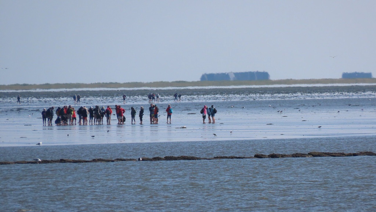 Photo of Others in Fedderswarf