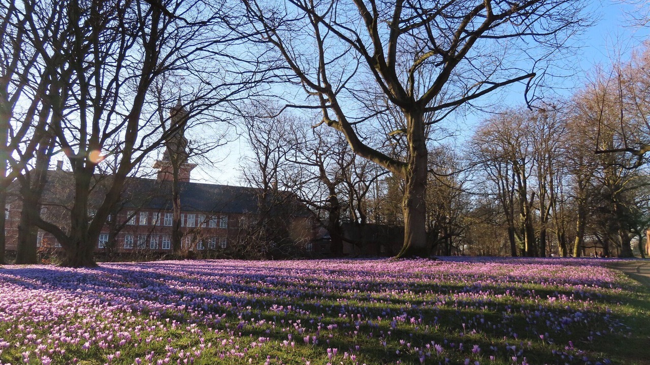 Photo of Outdoor in Fedderswarf