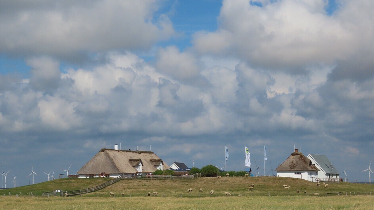 Photo of Others in Fedderswarf