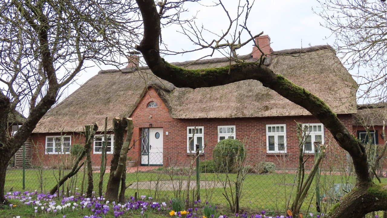 Photo of Outdoor in Fedderswarf
