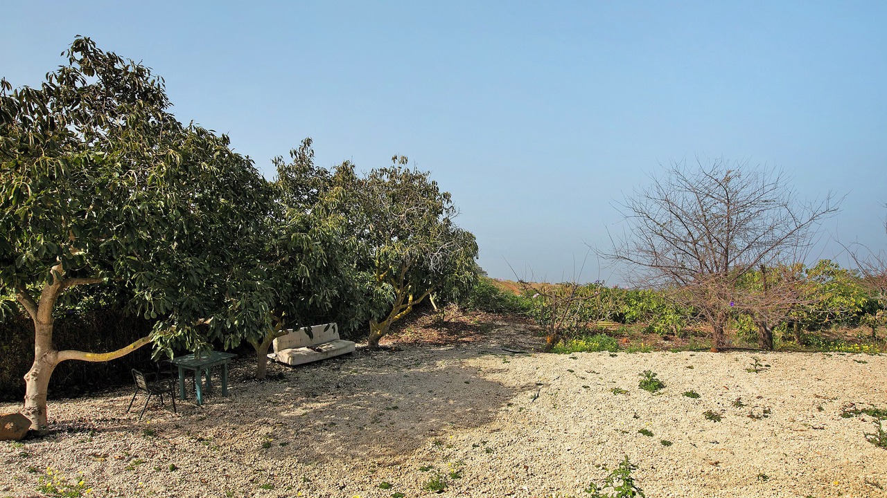 Photo of Outdoor in Sauzal