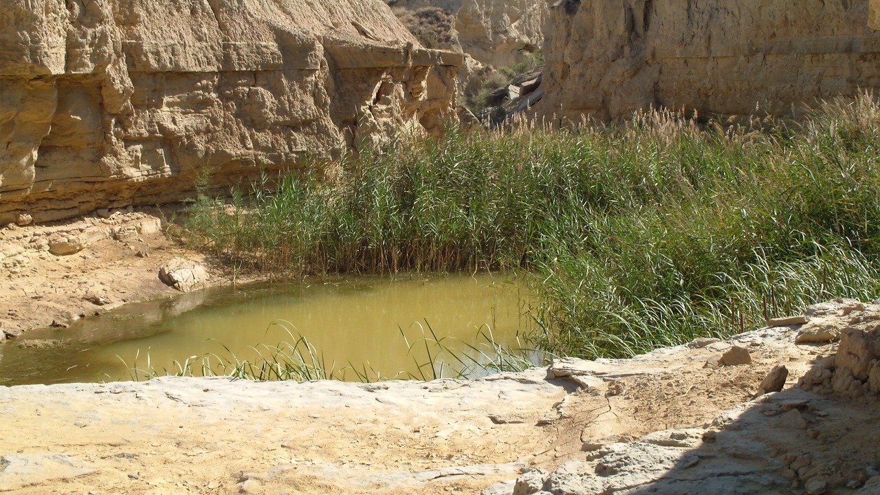 Photo of Outdoor in Arguedas