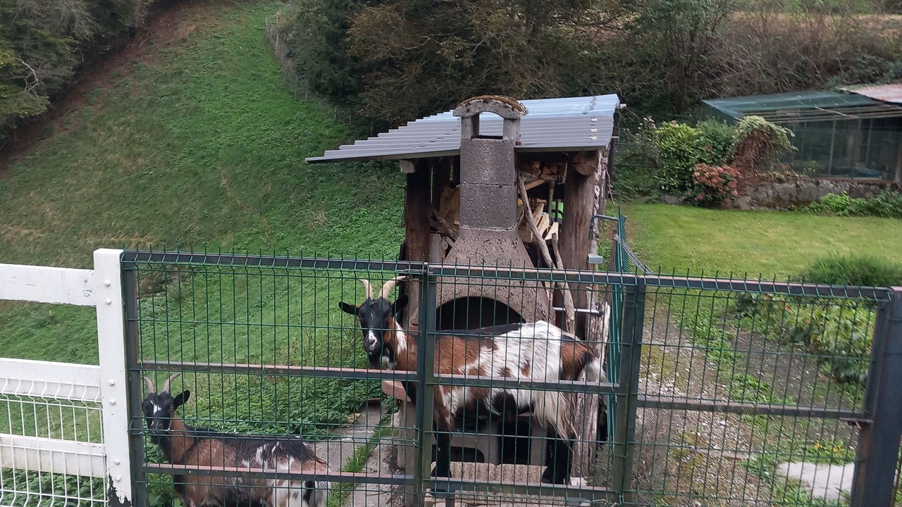 Photo of Outdoor in Campan