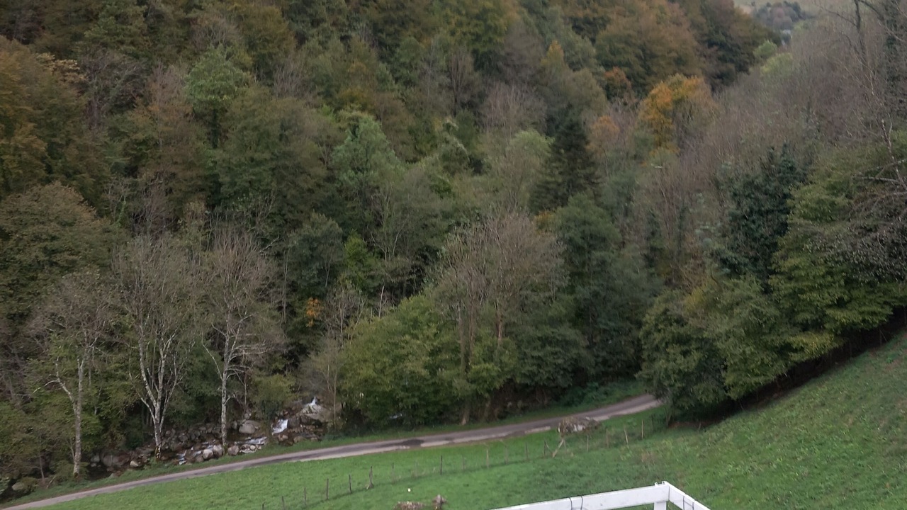 Photo of Outdoor in Campan