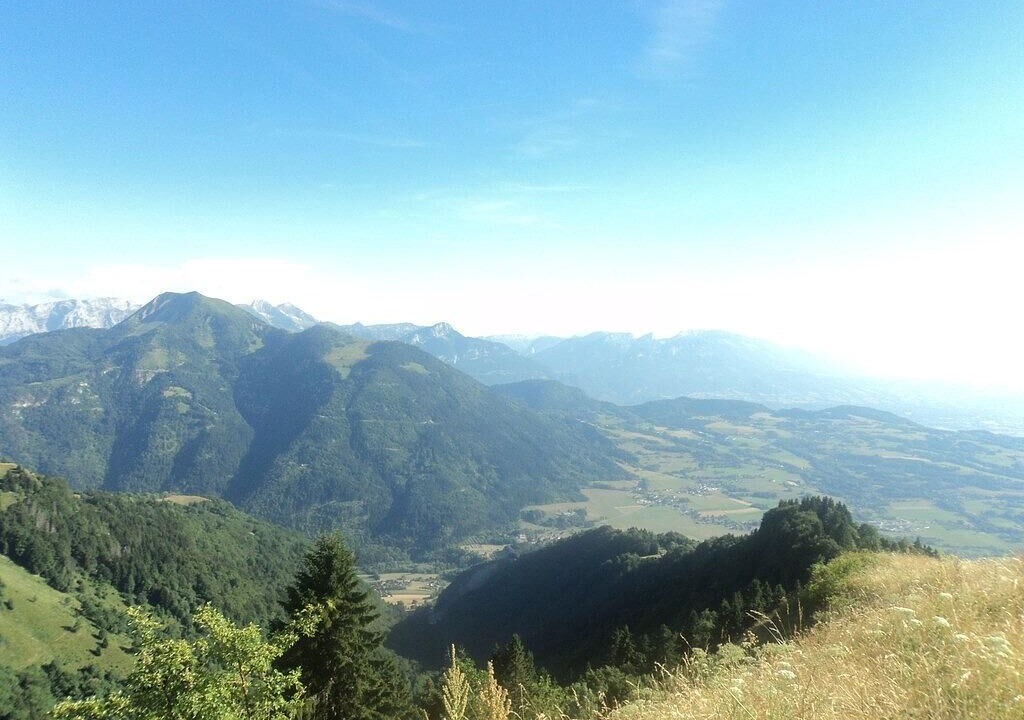 Photo of Others in Bogeve