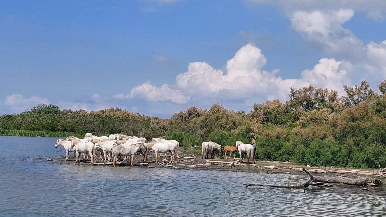 Photo of Others in Cabrieres