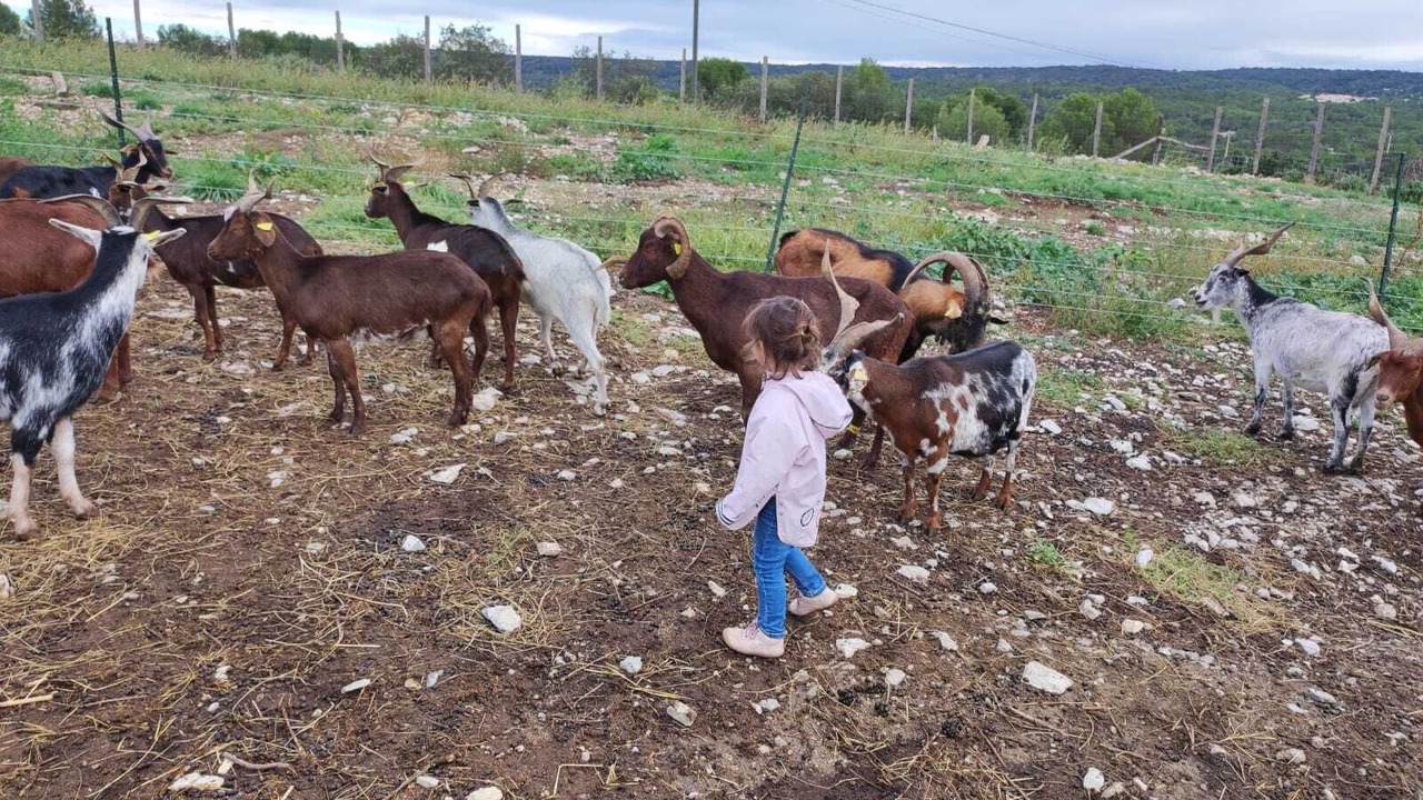 Photo of Outdoor in Cabrieres