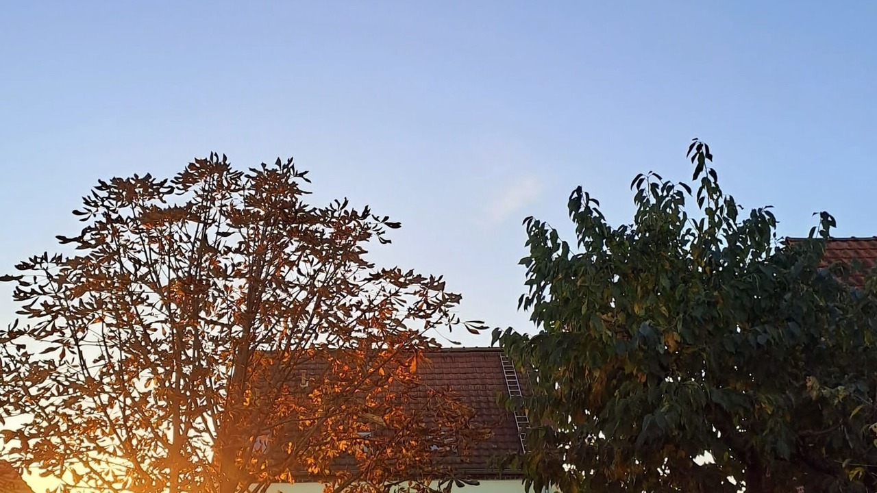 Photo of Outdoor in Neudessau