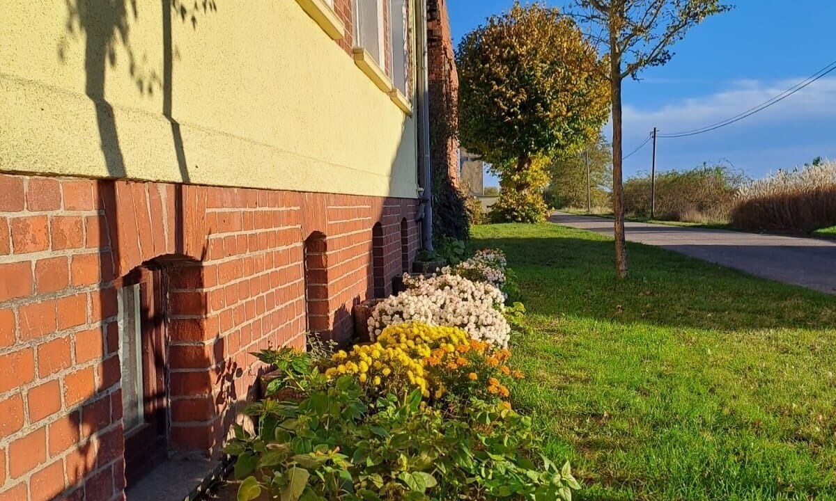 Photo of Outdoor in Neudessau