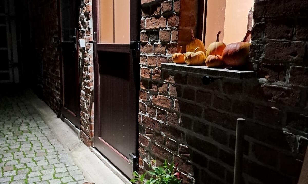 Photo of Outdoor in Neudessau