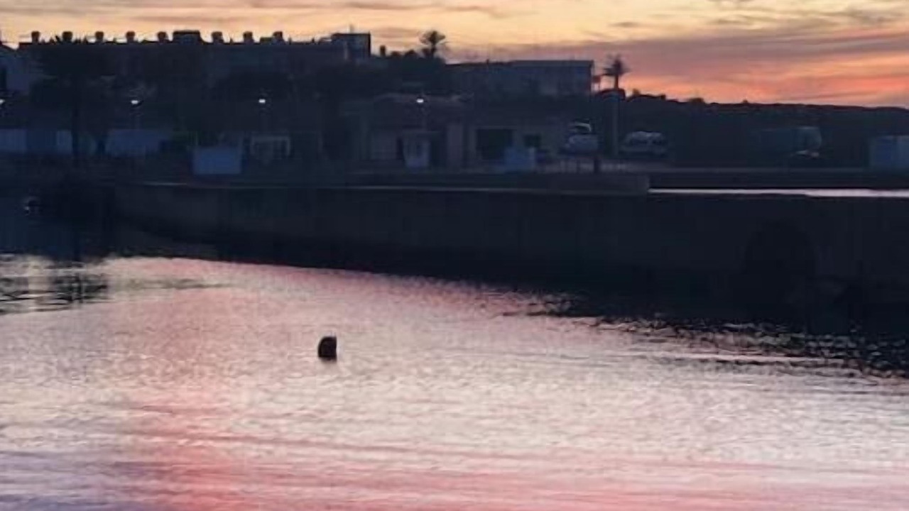 Photo of Others in Cabo de Palos