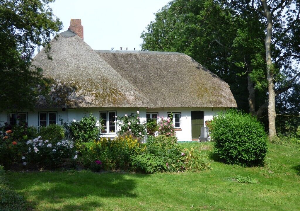 Photo of Outdoor in Wasserkoog