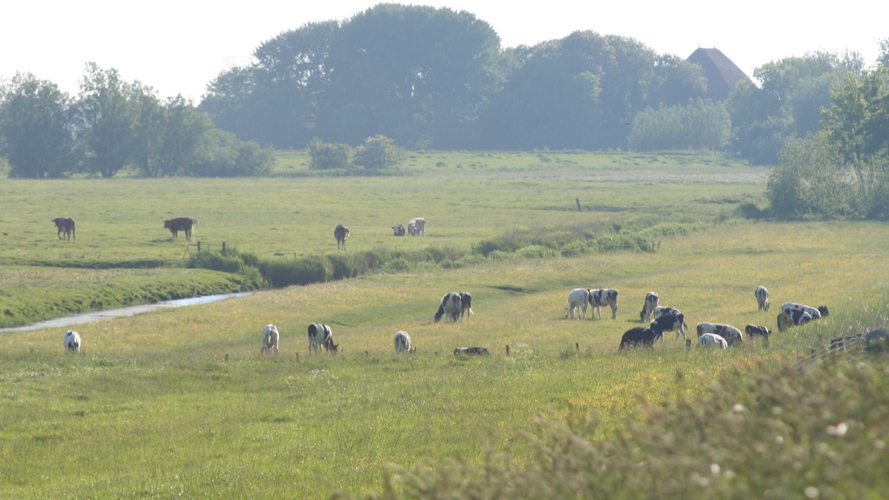 Photo of Outdoor in Tetenbull