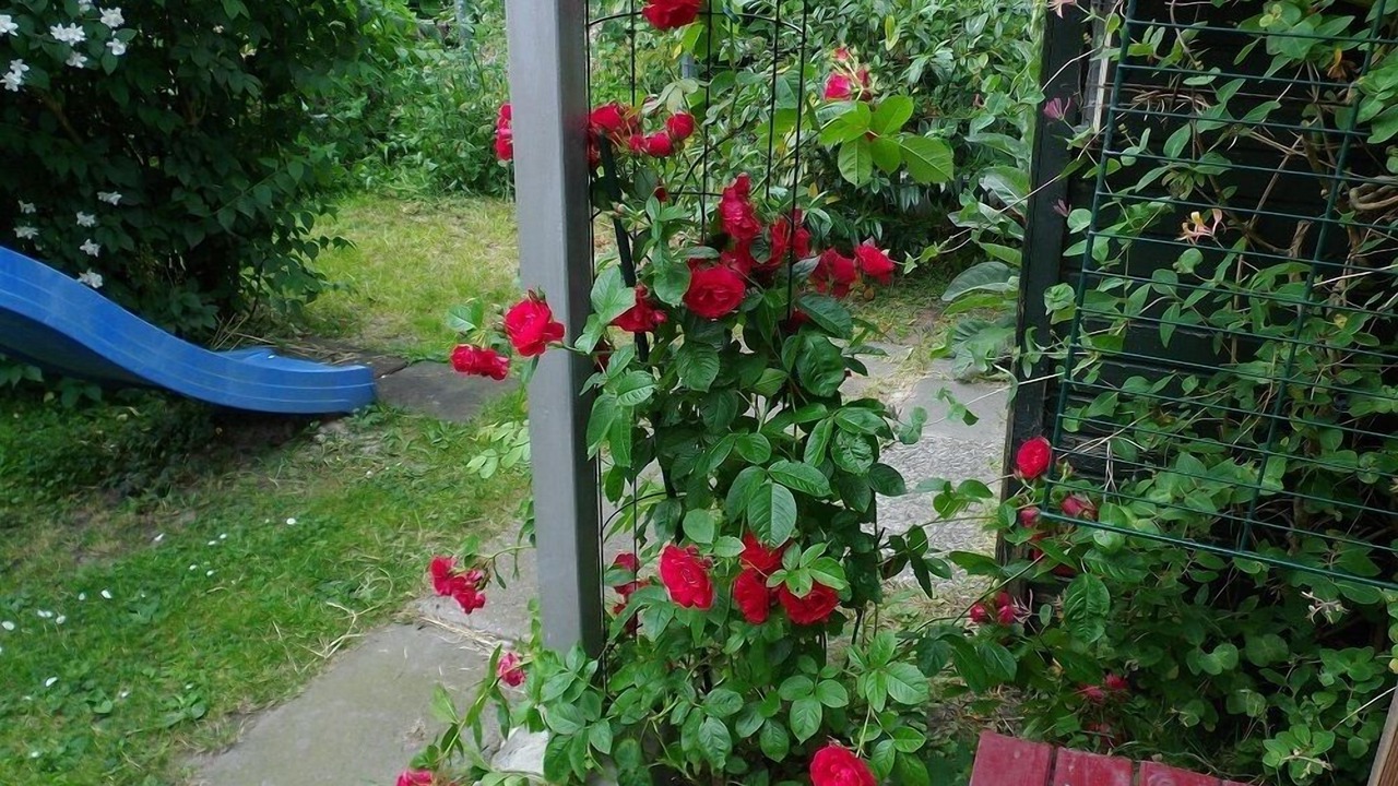 Photo of Outdoor in Eiderstedt