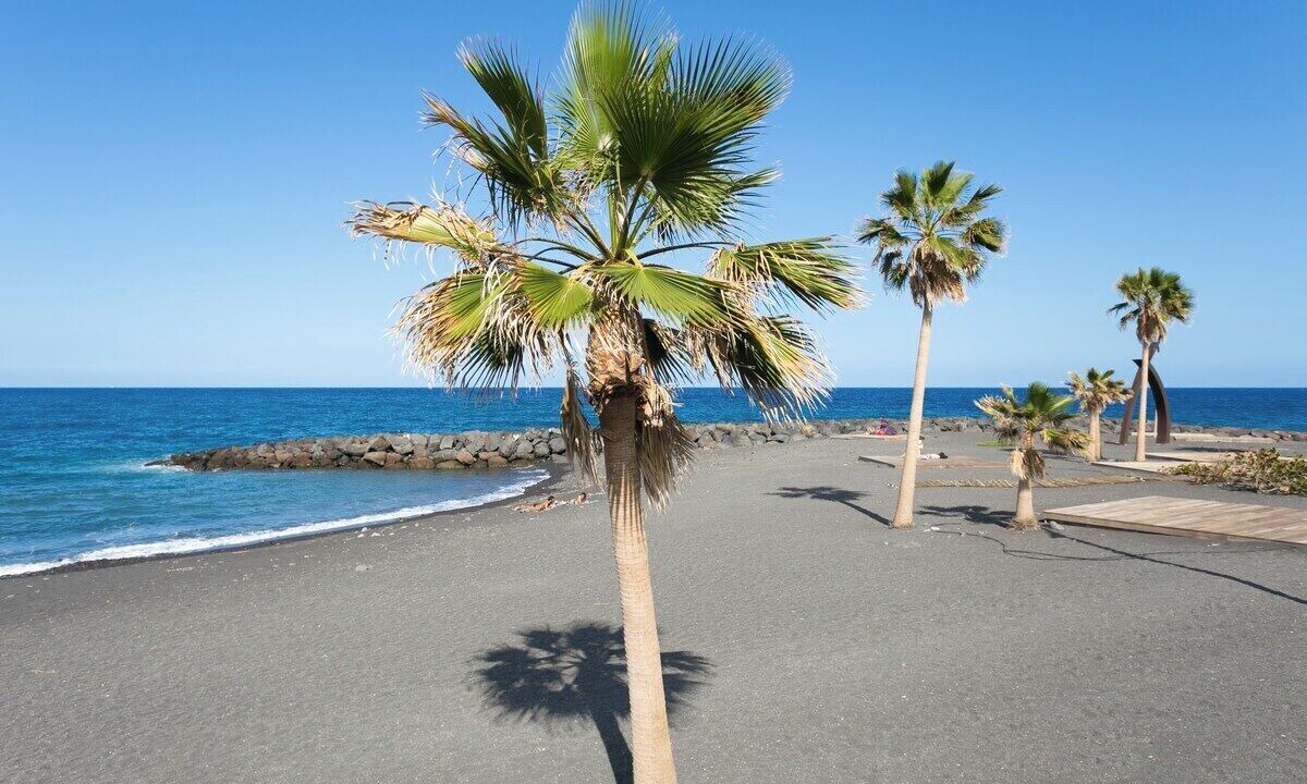 Photo of Others in Las Caletillas