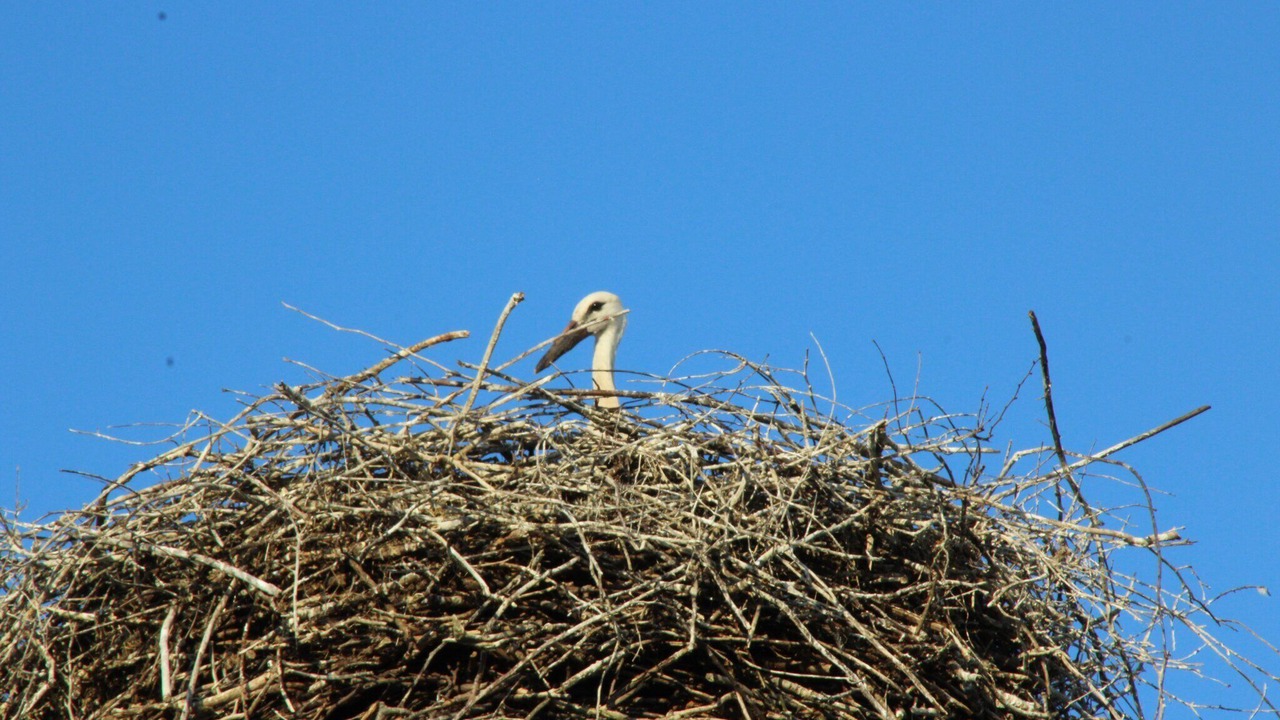 Photo of Others in Dellstedt