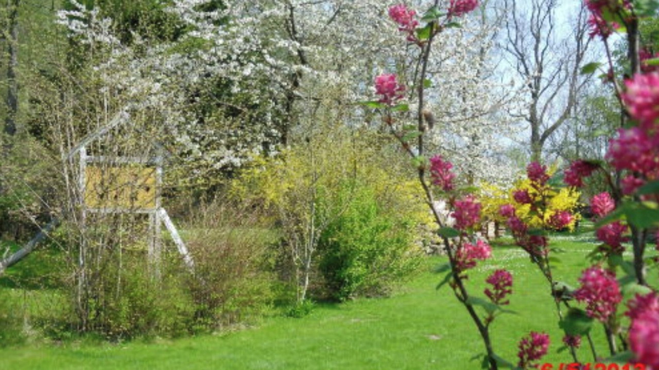 Photo of Outdoor in Mahlzow