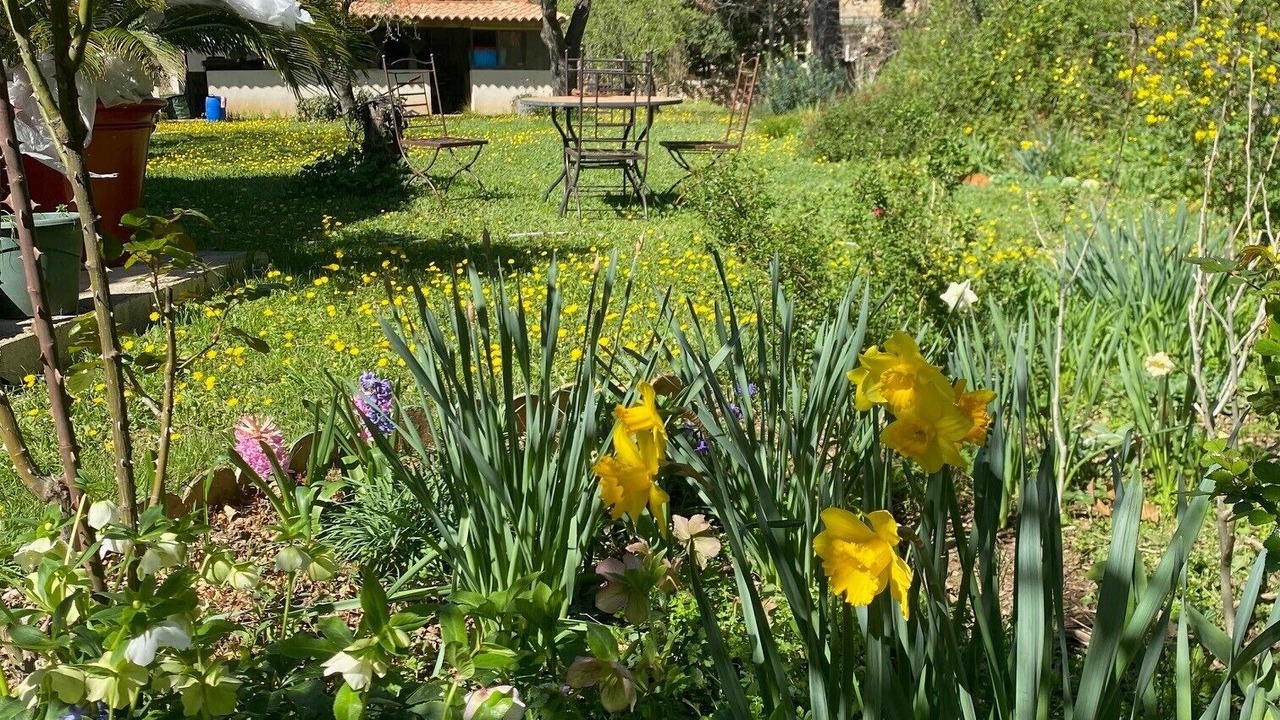 Photo of Outdoor in Jonquieres