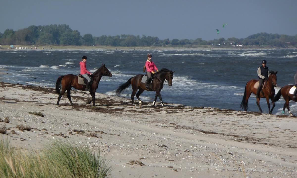 Photo of Others in Rabenholz