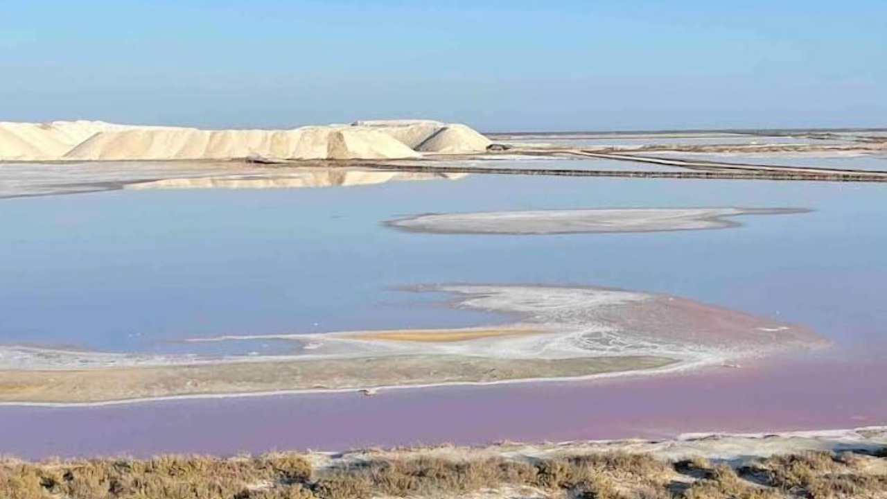 Photo of Others in Salin-de-Giraud