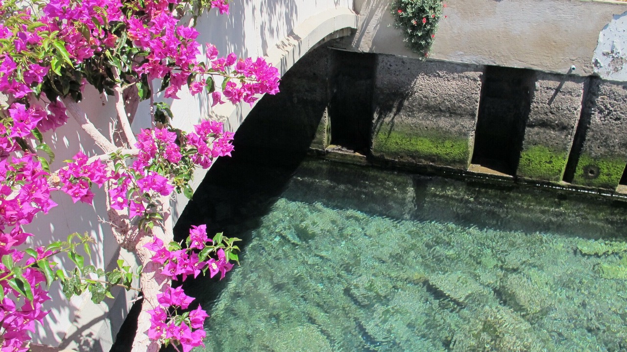 Photo of Outdoor in Playa de Mogan