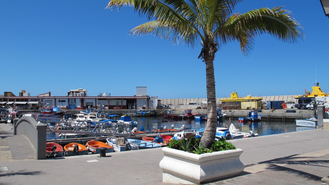 Photo of Others in Playa de Mogan