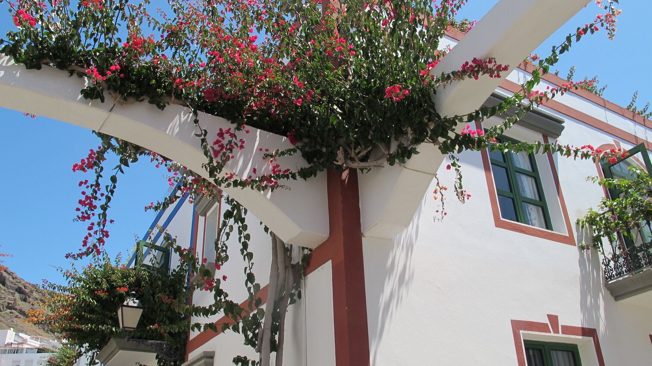 Photo of Outdoor in Playa de Mogan