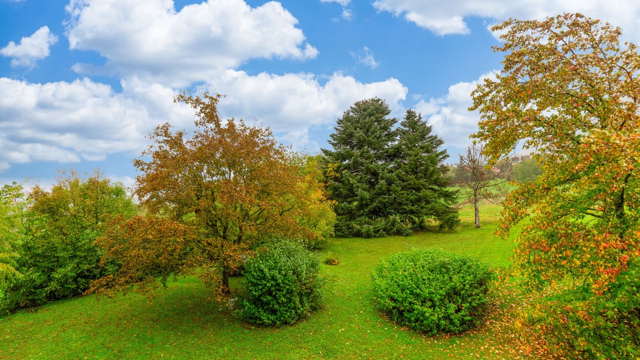 Photo of Outdoor in Collonges-sous-Saleve