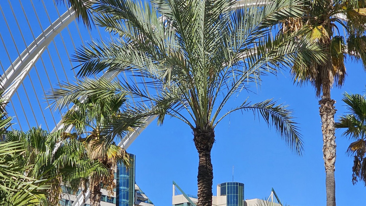 Photo of Outdoor in Ciutat de les Arts i les Ciencies