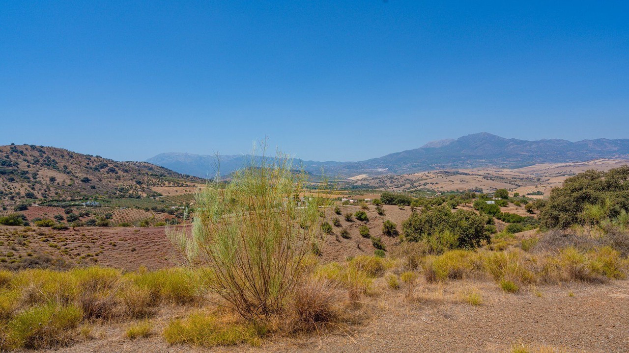 Photo of Outdoor in Coin