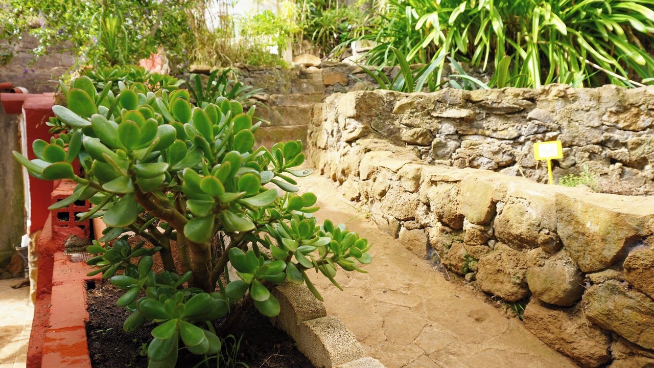 Photo of Outdoor in La Orotava