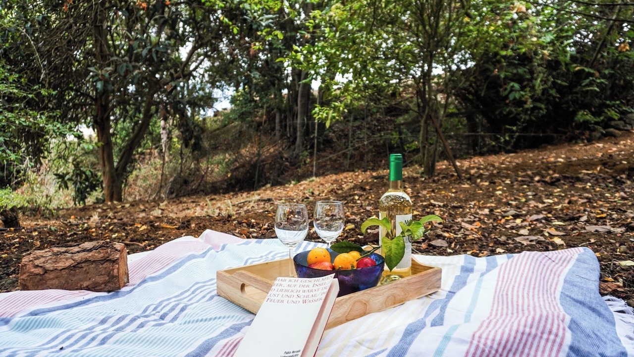 Photo of Outdoor in La Orotava
